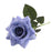 42cm Single stem Blue Rose