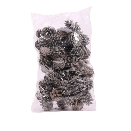 1kg Bag of Assorted Size Frosted Pine Cones  