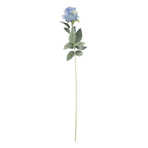 Arundel Rose Stem x 55cm - Blue