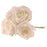 Foam Open Rose X5 White