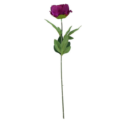 Arundel Garden Peony Stem x 55cm - Purple