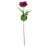 Arundel Garden Peony Stem x 55cm - Purple