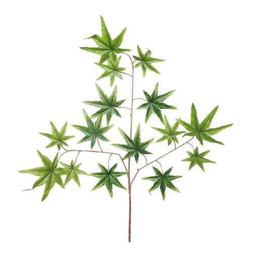 Autumn Maple - Green