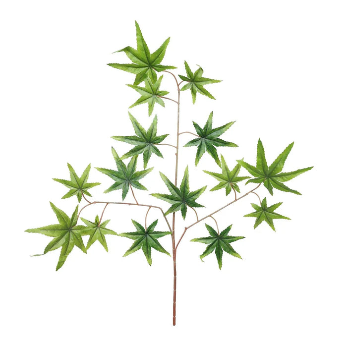 Autumn Maple - Green