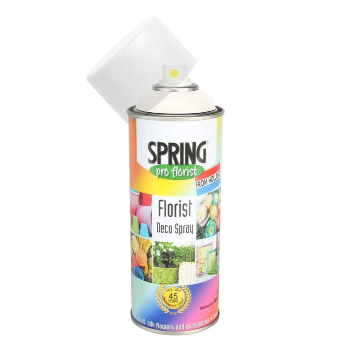 Pearl Glo Spray Paint - 400Ml