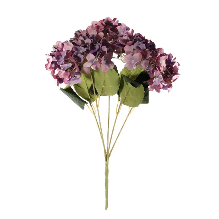 Hydrangea Bush - Purple