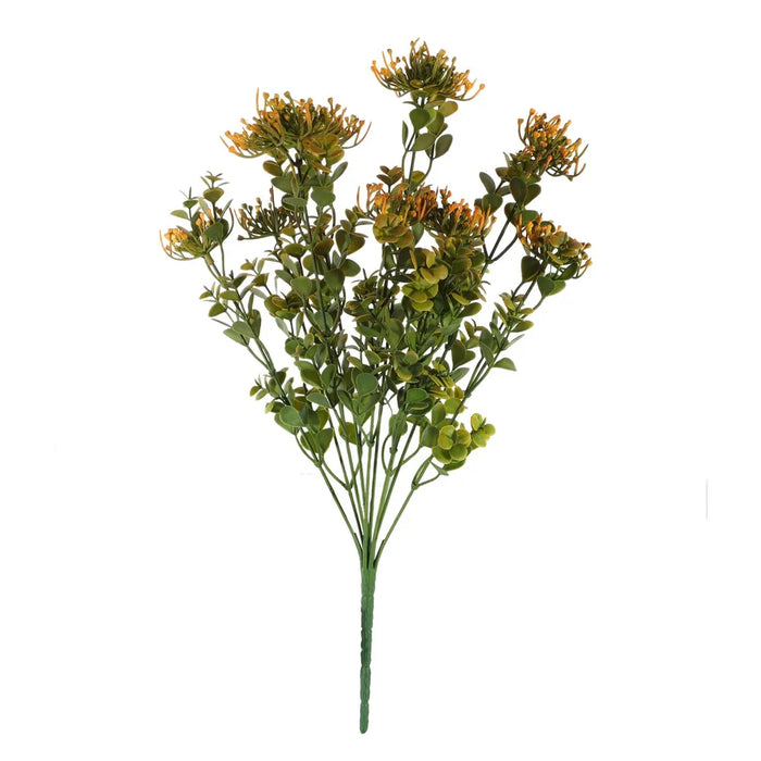 Sedum Succulent Bush x H42cm - Orange