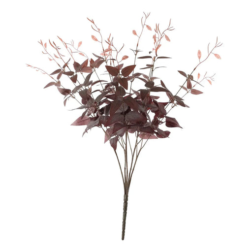 Ruscus Bush -Red