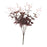 Ruscus Bush -Red