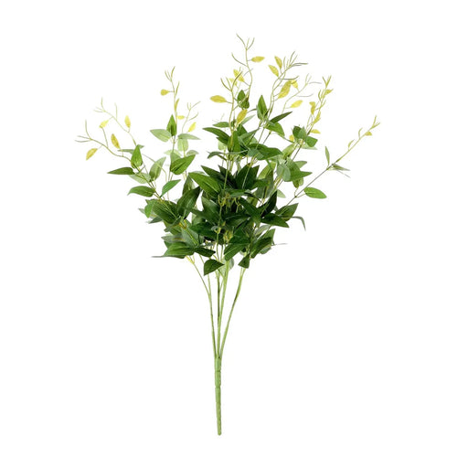 Ruscus Bush - Light Green