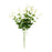 Ruscus Bush - Light Green