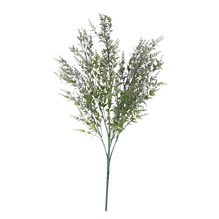 Mini Ruscus Bush - Purple