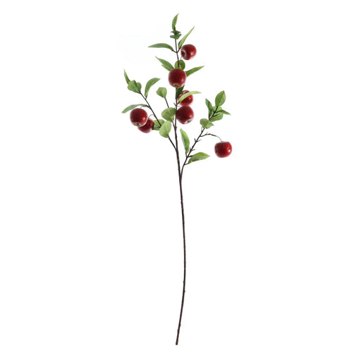 Apple Spray - Red