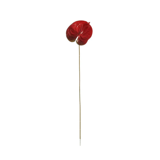 70cm Anthurium - Red