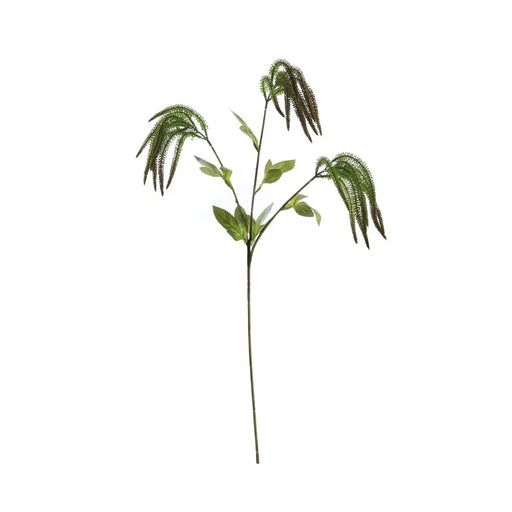 Catkin Spray x 66cm long - Green