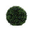 Botanica Boxwood Ball - 19.5cm