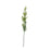 White Thistle Spray