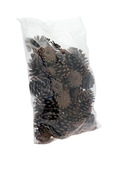 5kg Austriaca Cones
