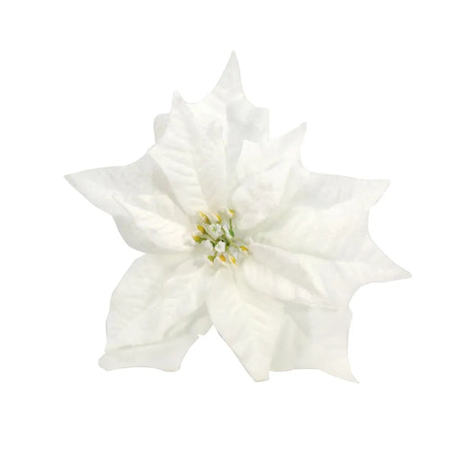 Poinsettia With Clip 25cm - Snowy White