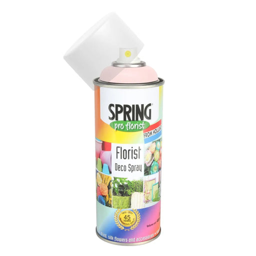 True Pink  Spray Paint - 400Ml