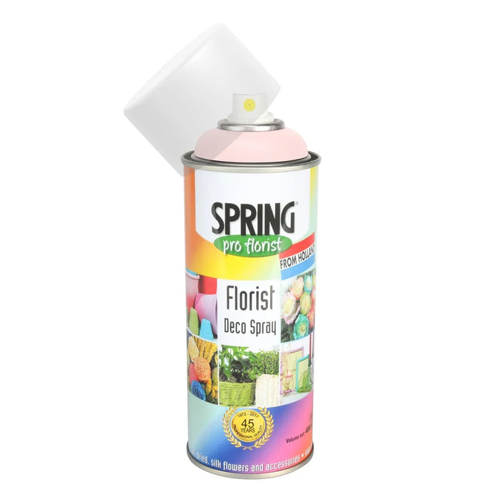 True Pink  Spray Paint - 400Ml