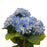 Hydrangea Bush Blue