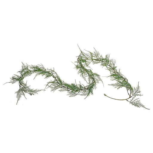Asparagus Fern Garland 183Cm