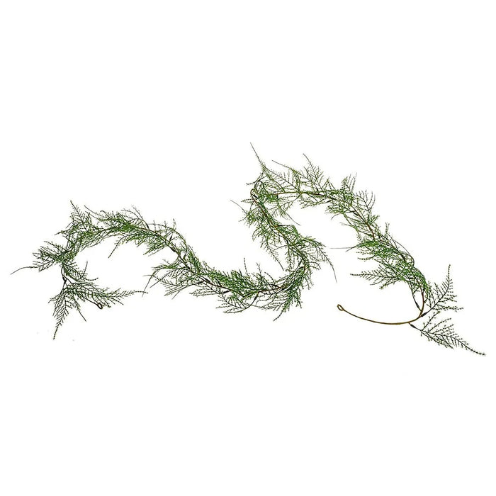 Asparagus Fern Garland 183Cm
