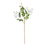 Rose Spray Cream - 64cm