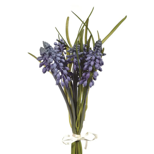 Bundle Muscari Blue 25Cm
