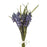 Bundle Muscari Blue 25Cm