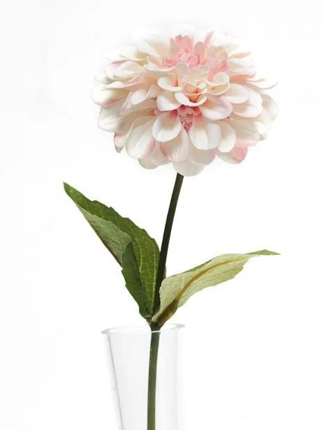 Olivia Zinnia Stem Pale Pink x H46cm