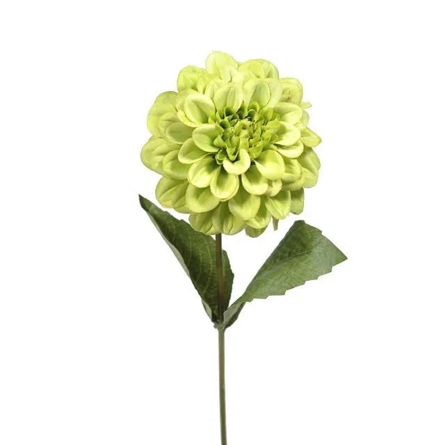 Zinnia Flower Stem x 46cm long - Green