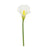Calla Lily Cream Head 66Cm