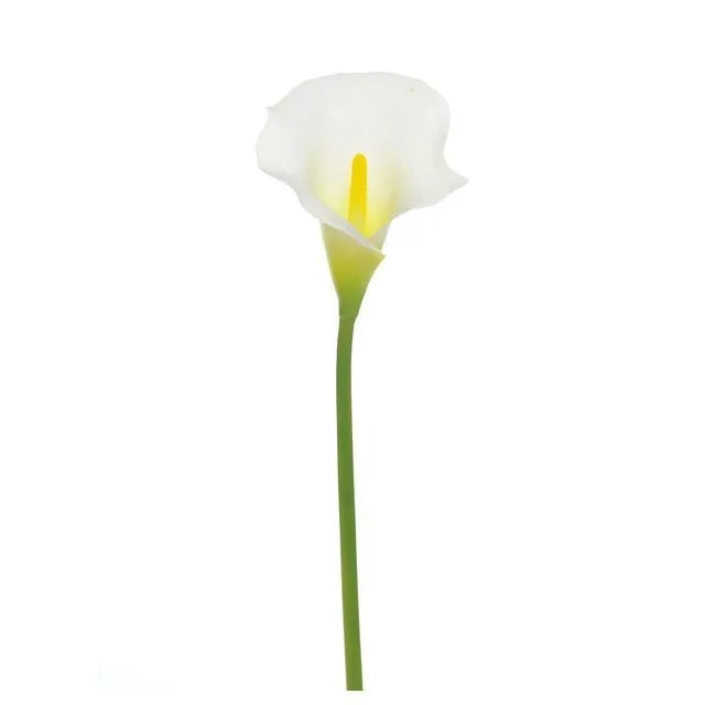 Calla Lily Cream Head 66Cm