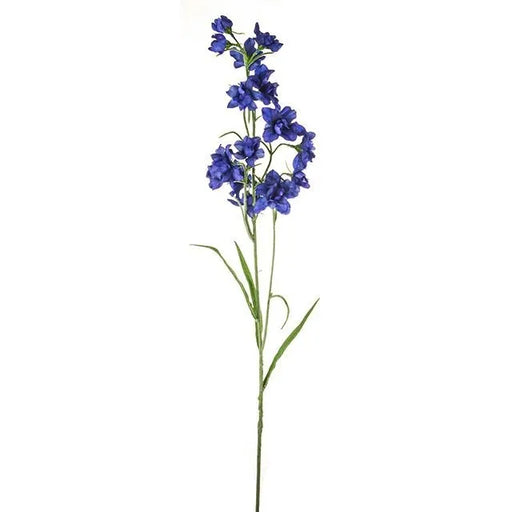 Delphinium Dark Blue 76Cm