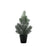 Pine Tree with Snow in Pot - 35cm