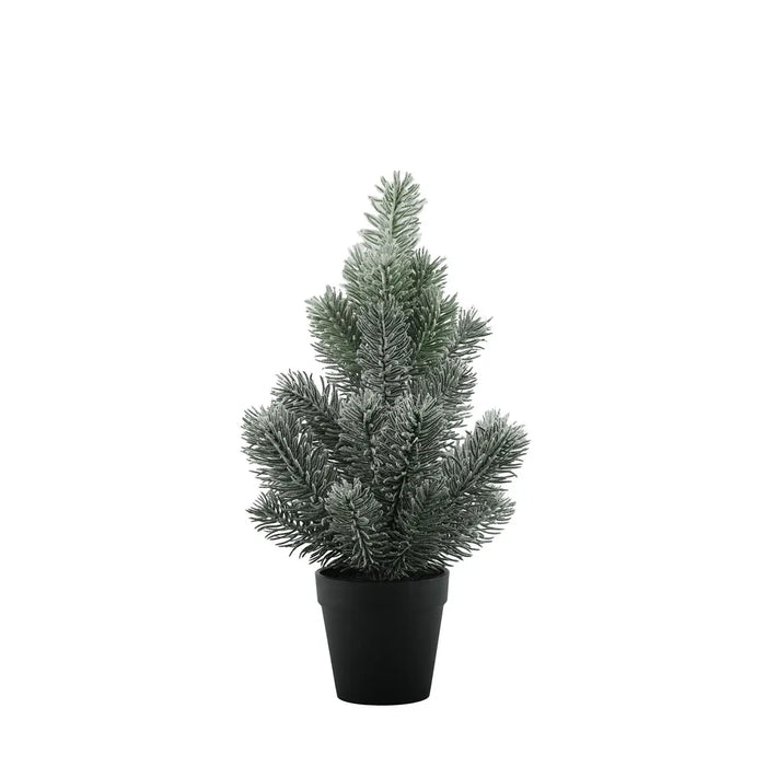 Pine Tree with Snow in Pot - 35cm