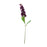 Garden Stock Flower x 25cm - Purple
