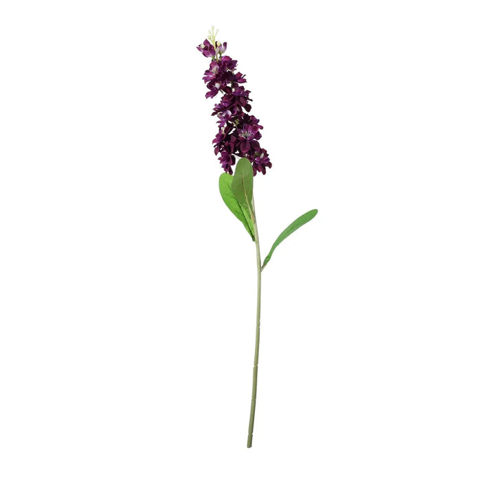 Garden Stock Flower x 25cm - Purple