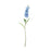 Garden Stock Flower x 25cm - Blue