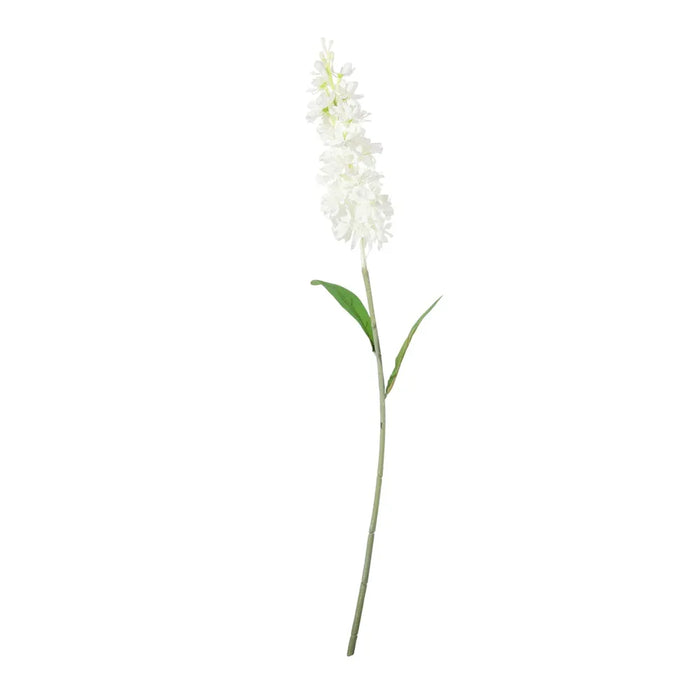Garden Stock Flower x 25cm - White