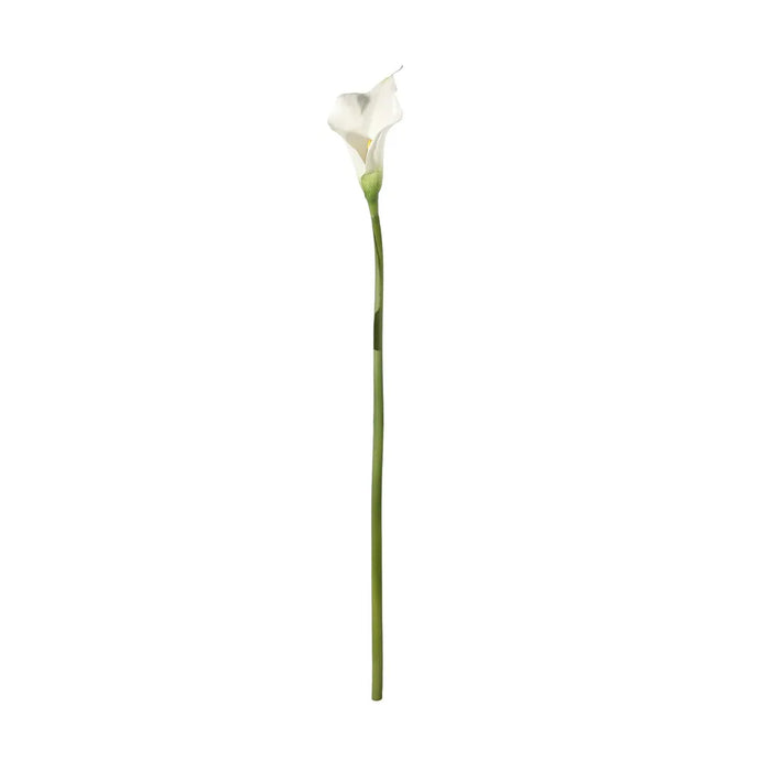 Botanica Calla Lily Small - White - 60cm