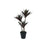 Botanica Yucca Tree in pot - 63cm