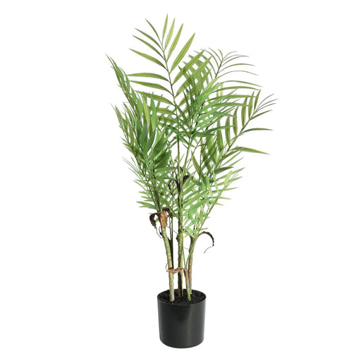Botanica Areca Palm in Pot - 72cm