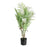 Botanica Areca Palm in Pot - 72cm