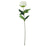 Arundel Garden Peony Stem x 55cm -Ivory