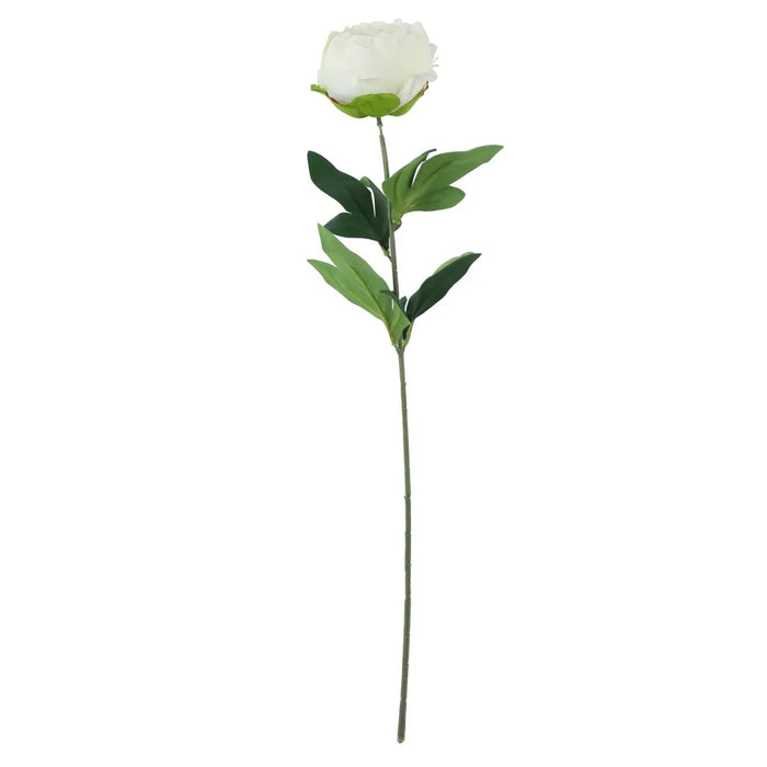 Arundel Garden Peony Stem x 55cm -Ivory