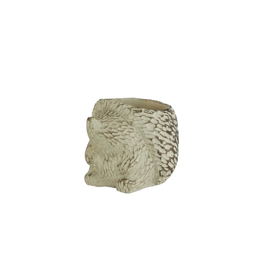 HedgeHog - Bling