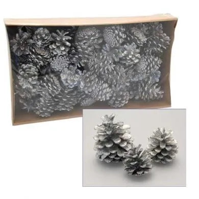1kg Bag of Assorted Size Austriaca Silver Pine Cones